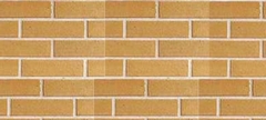 Panel elewacyjny ceglany Antares